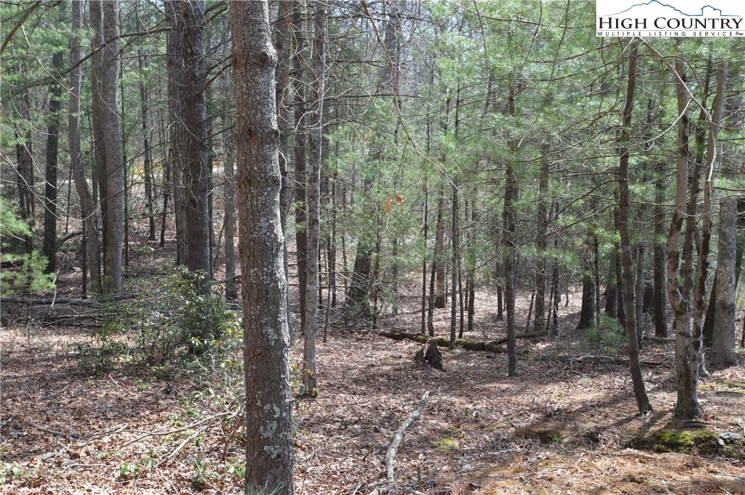 Image number 14 for the current listing