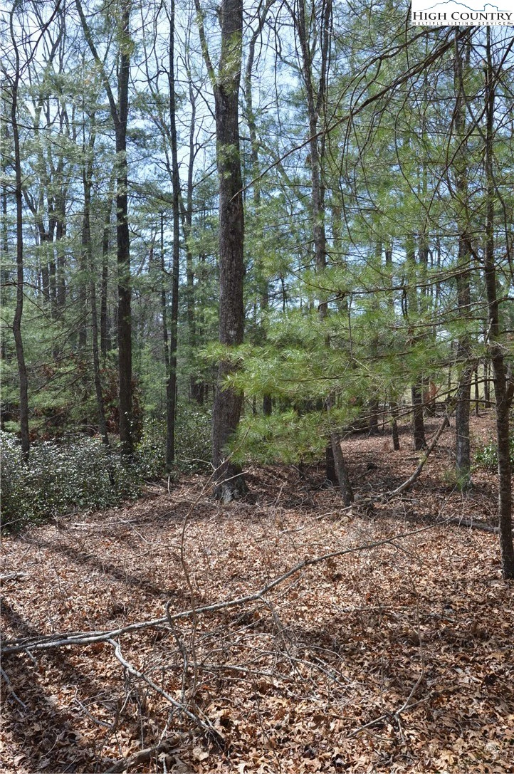 Image number 15 for the current listing