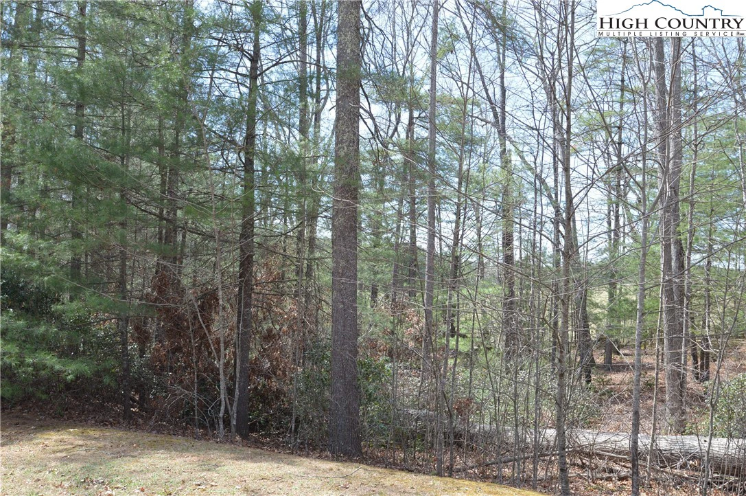 Image number 16 for the current listing