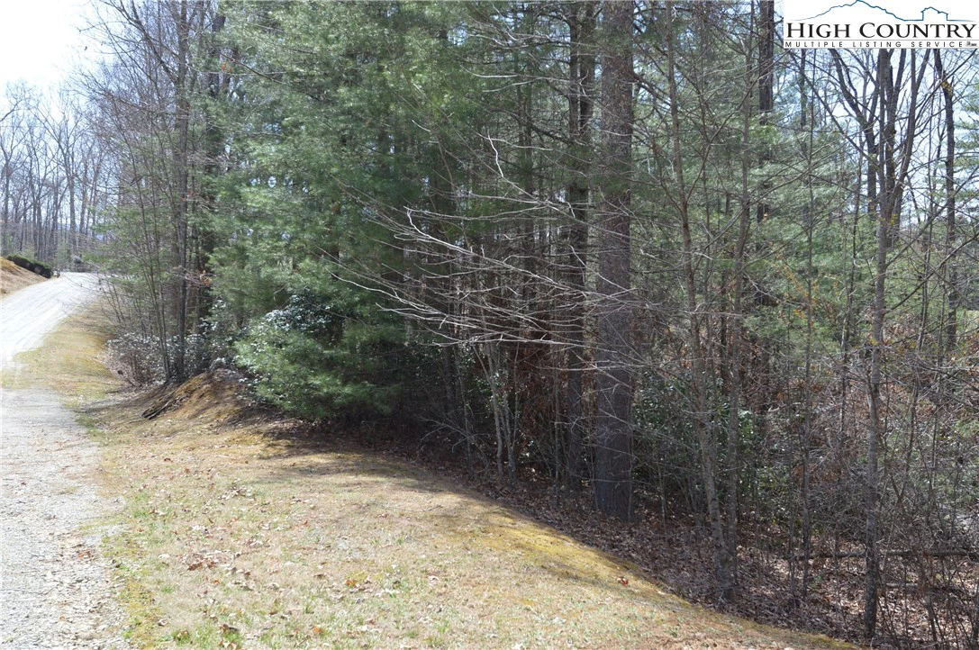 Image number 21 for the current listing