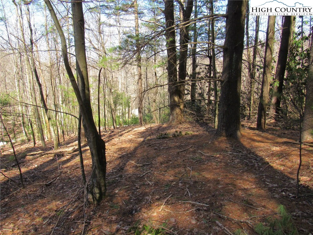 Image number 1 for the current listing