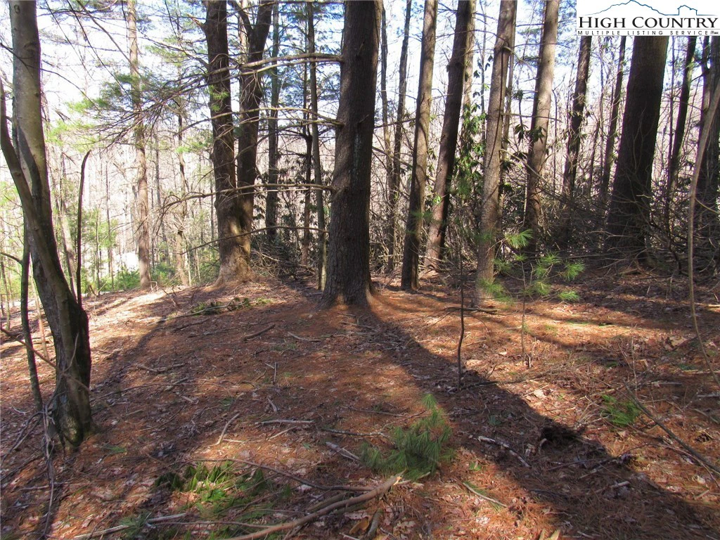 Image number 7 for the current listing