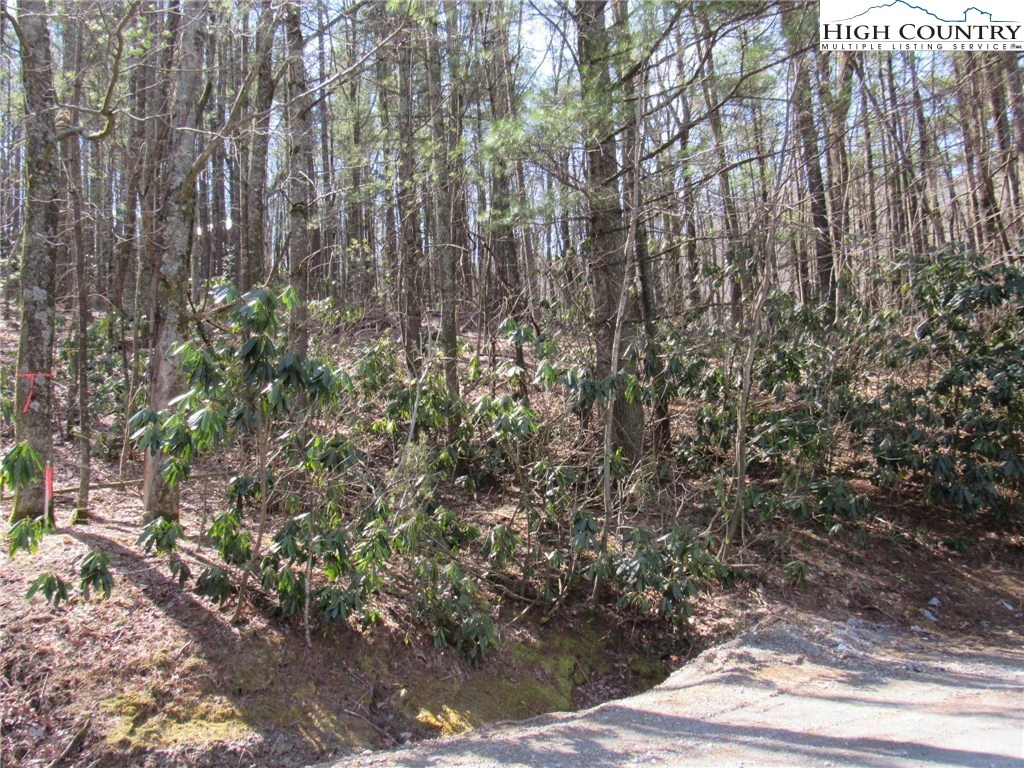 Image number 11 for the current listing