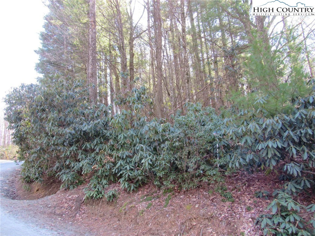 Image number 12 for the current listing