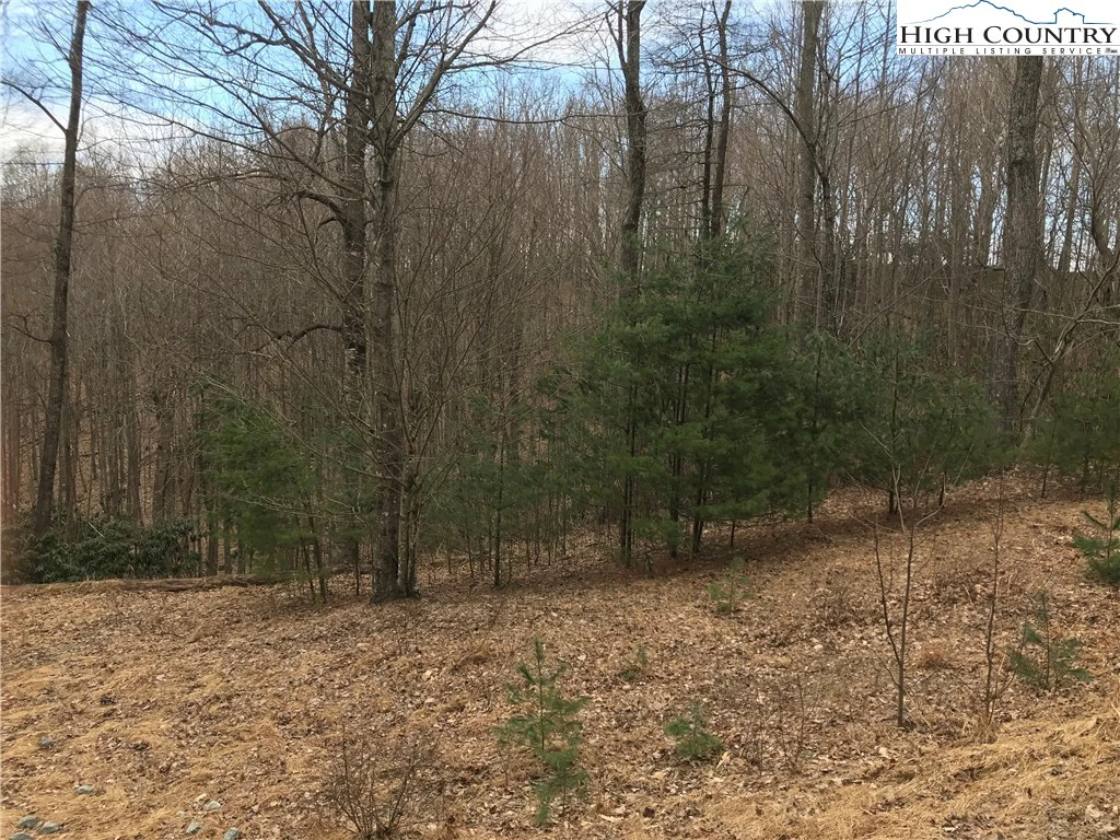 Image number 13 for the current listing