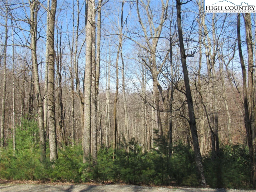 Image number 14 for the current listing