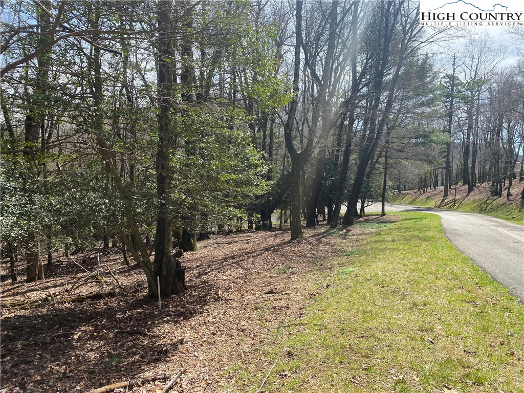 Image number 1 for the current listing