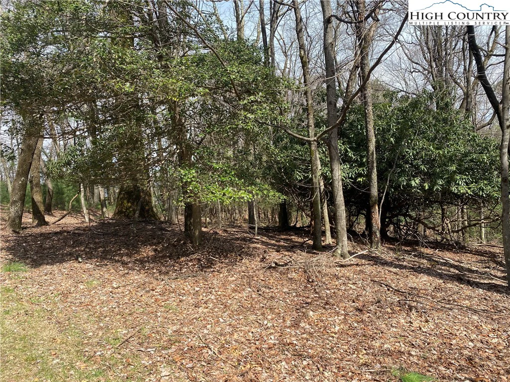 Image number 15 for the current listing