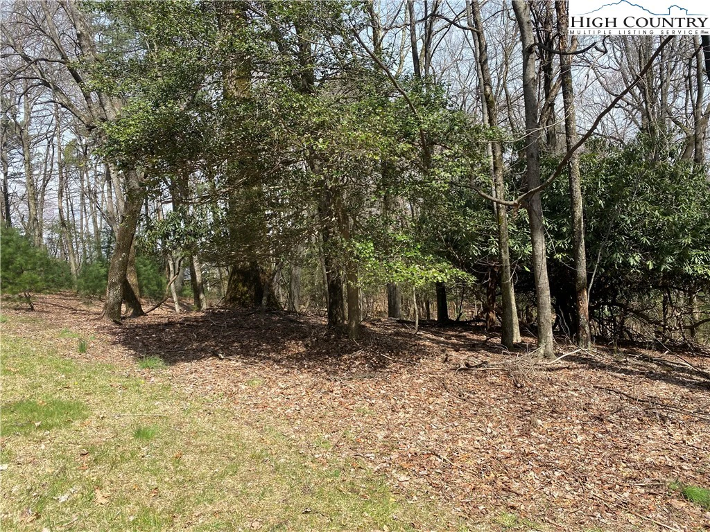 Image number 14 for the current listing