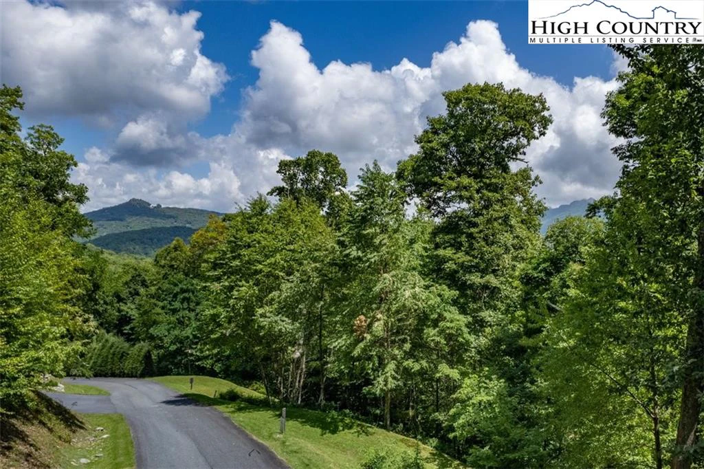 Image number 9 for the current listing