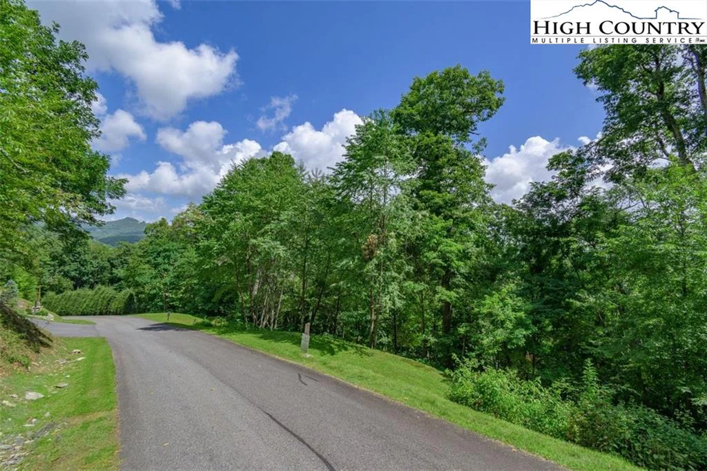 Image number 7 for the current listing