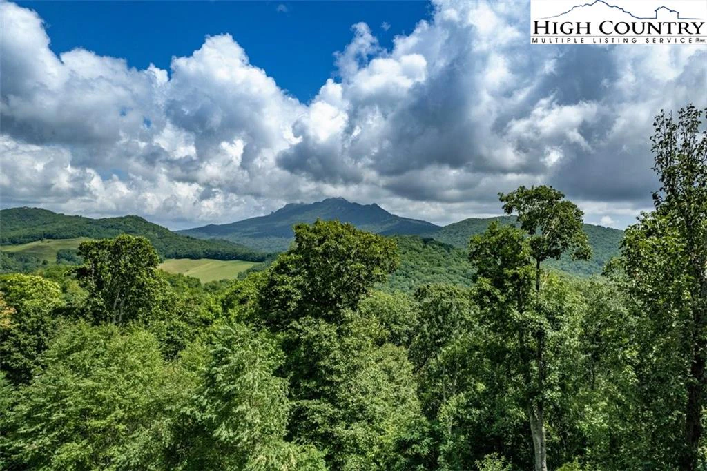 Image number 6 for the current listing