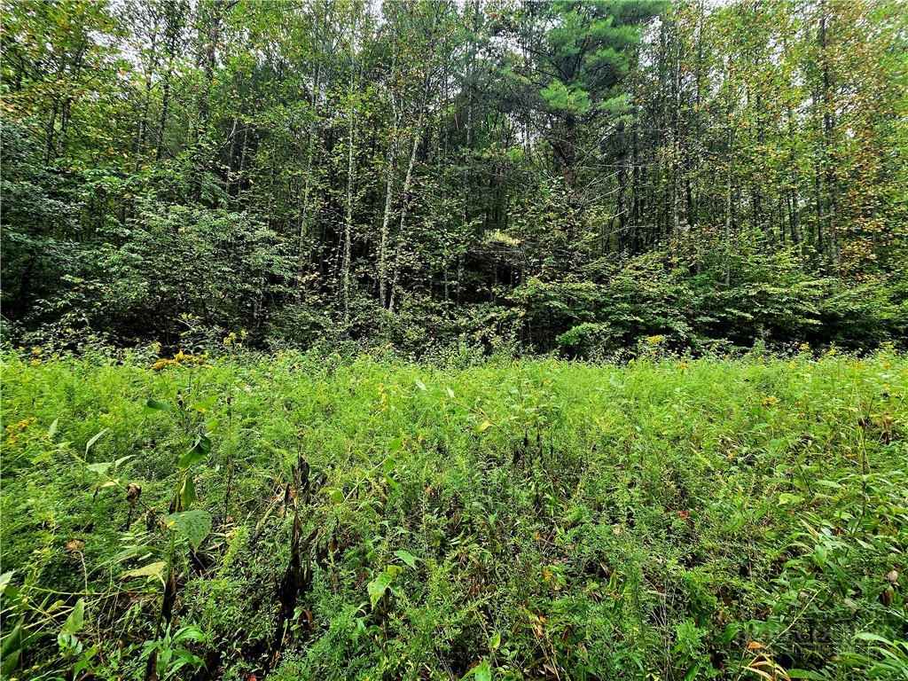 Image number 1 for the current listing