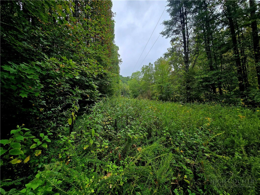 Image number 3 for the current listing