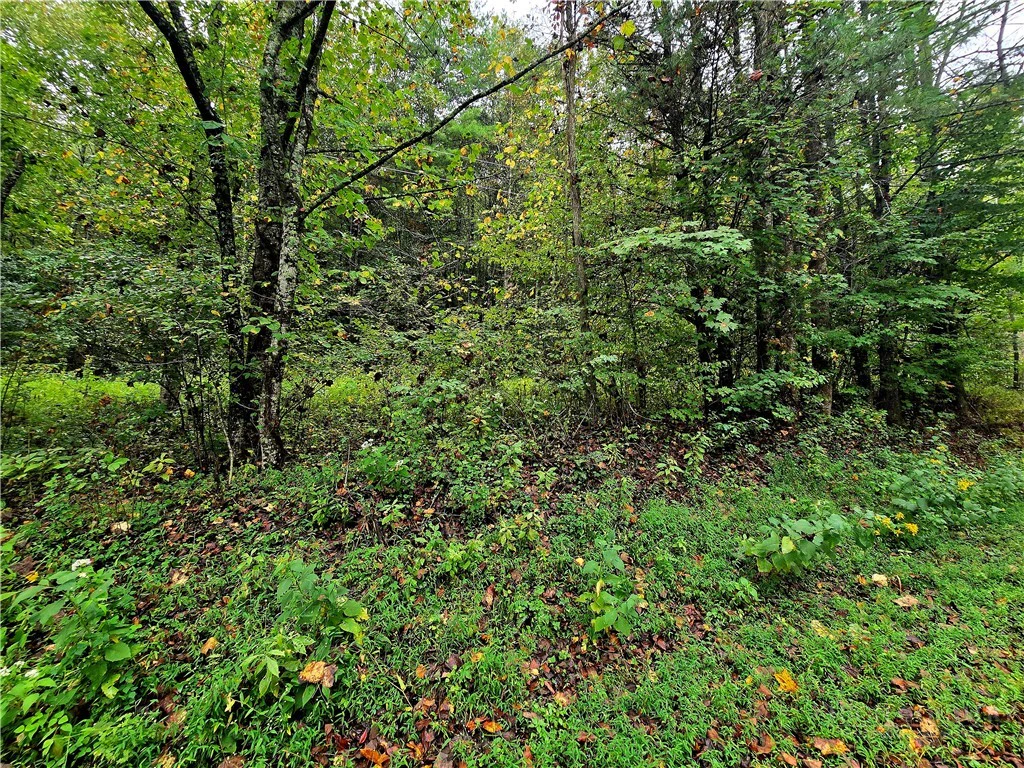 Image number 4 for the current listing