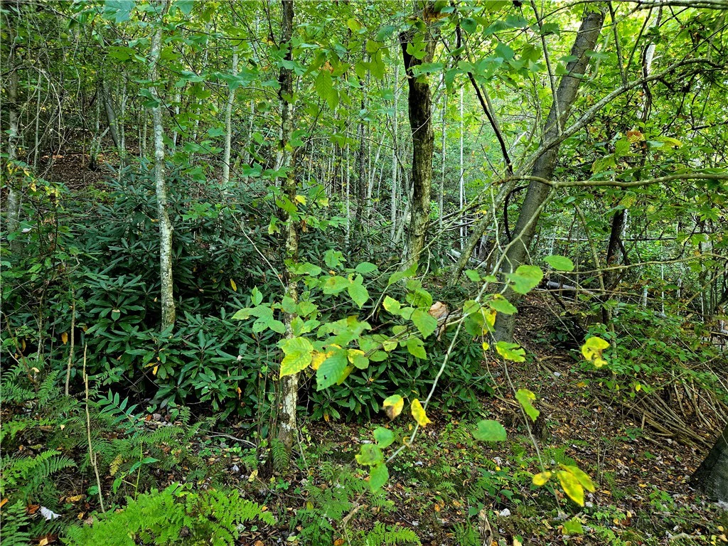 Image number 6 for the current listing