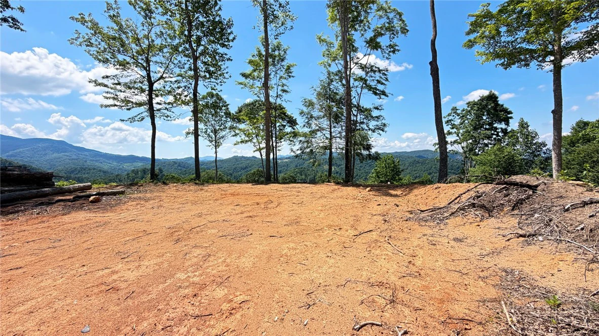 Image number 7 for the current listing