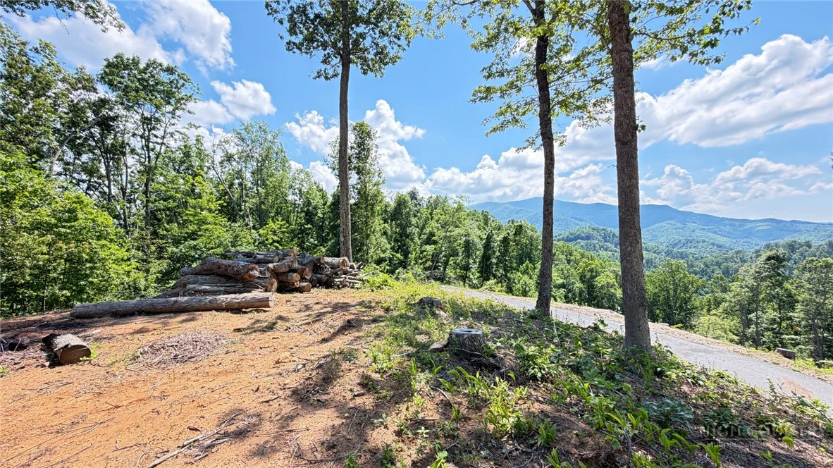 Image number 9 for the current listing