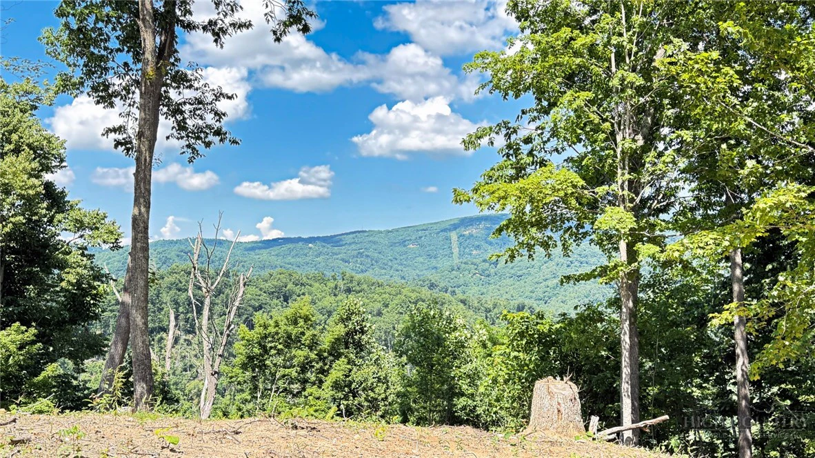 Image number 15 for the current listing