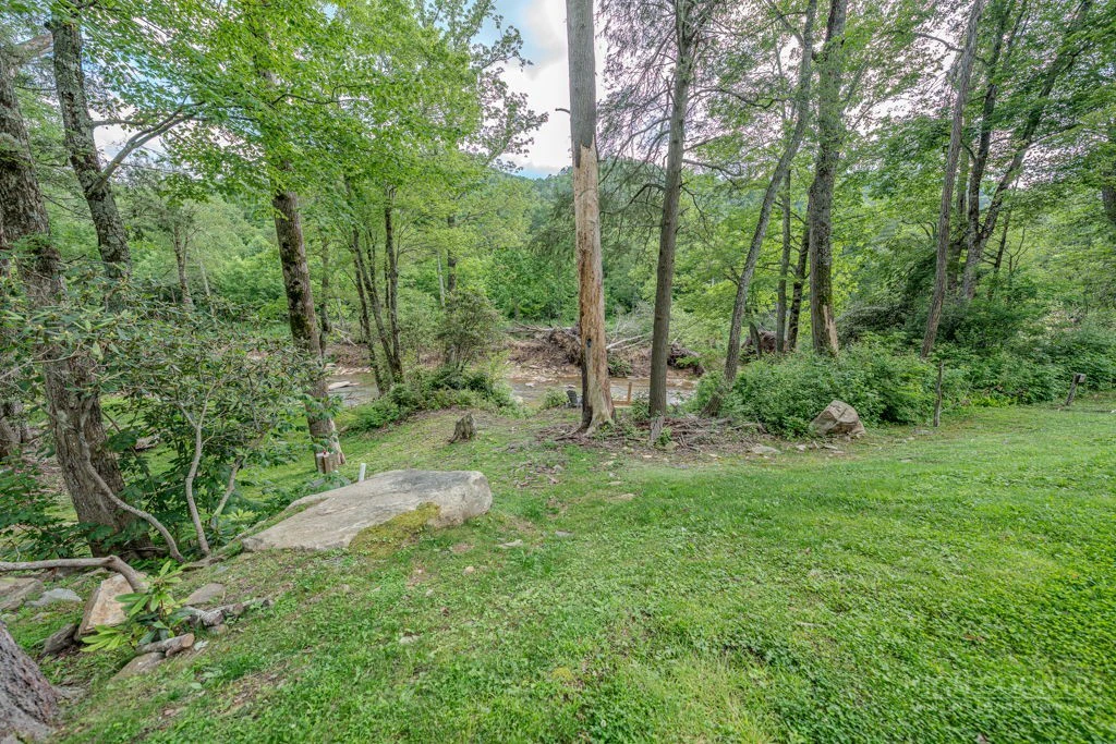 Image number 4 for the current listing