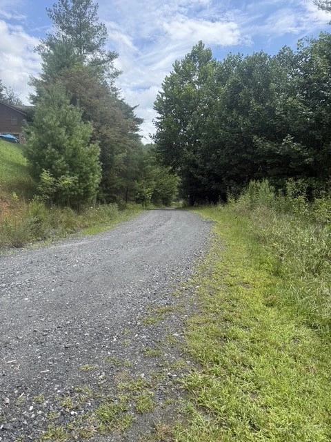 Image number 7 for the current listing