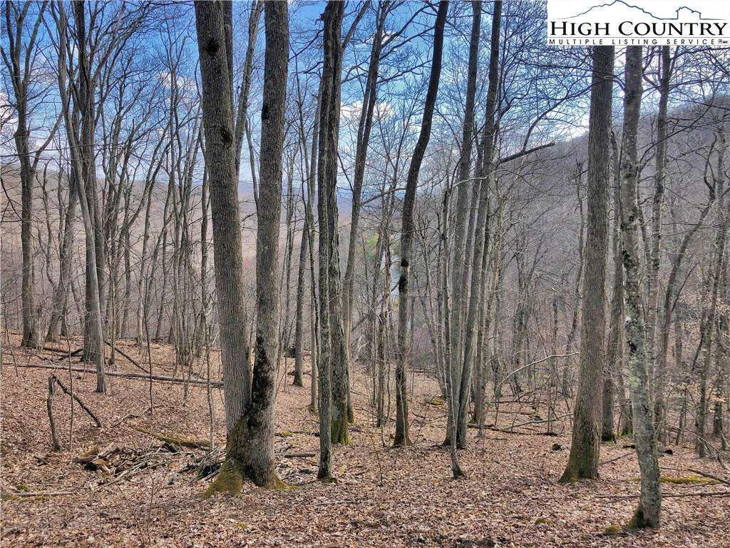 Image number 1 for the current listing