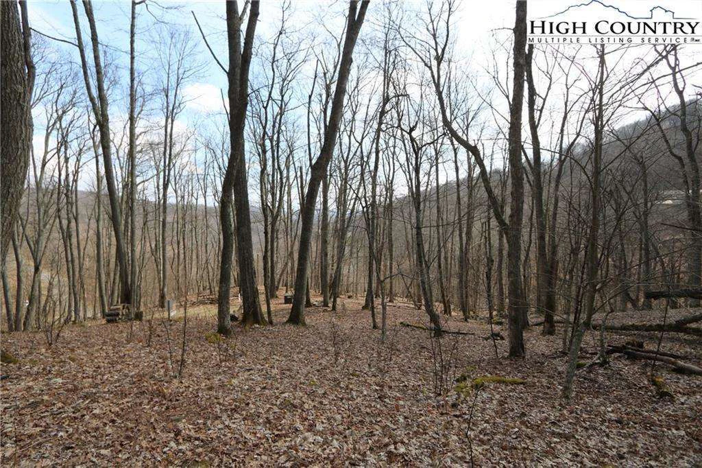 Image number 18 for the current listing