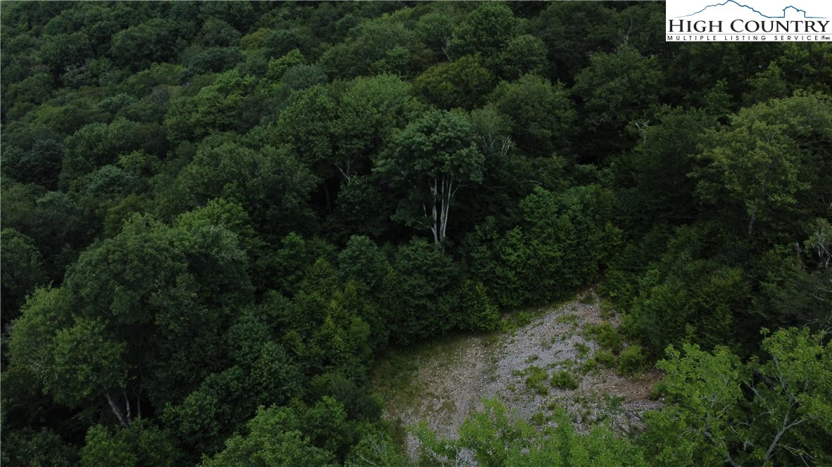 Image number 1 for the current listing