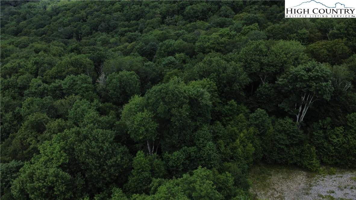 Image number 8 for the current listing