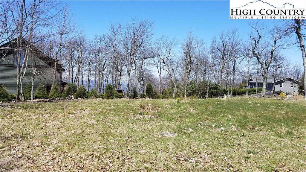 Image number 1 for the current listing