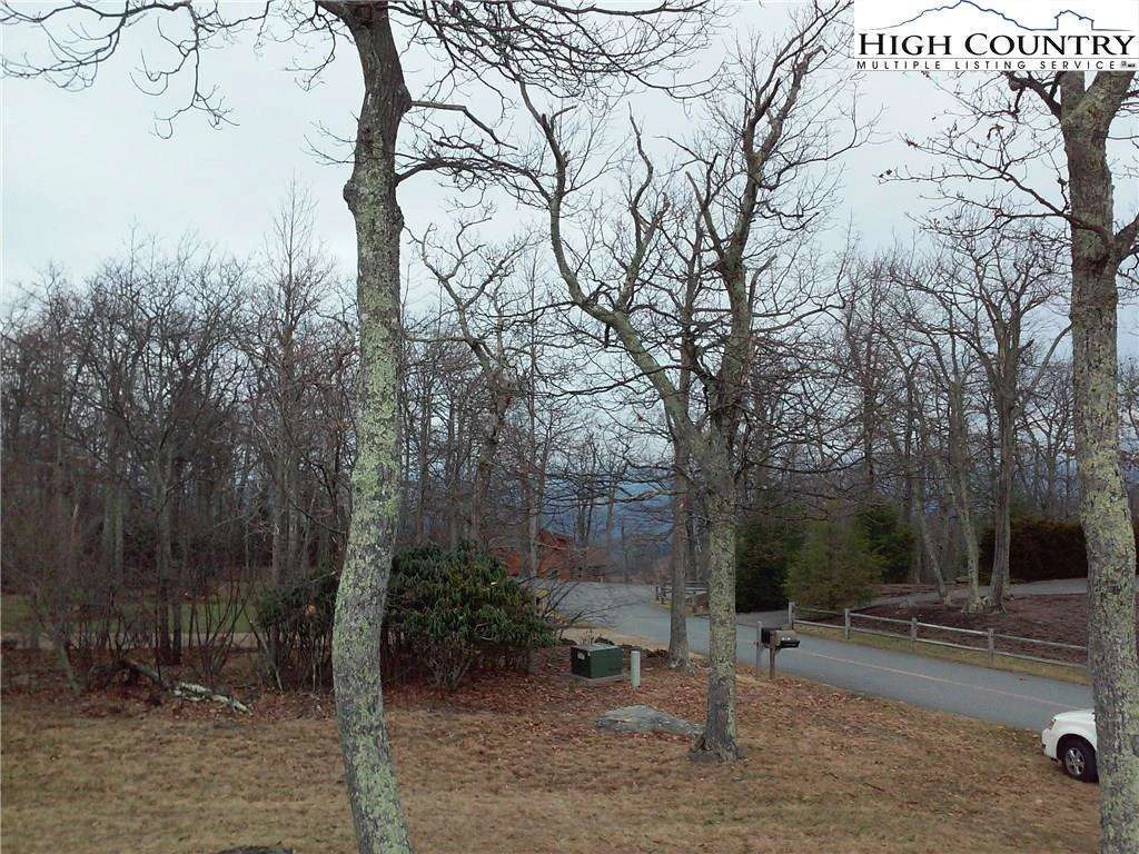 Image number 3 for the current listing