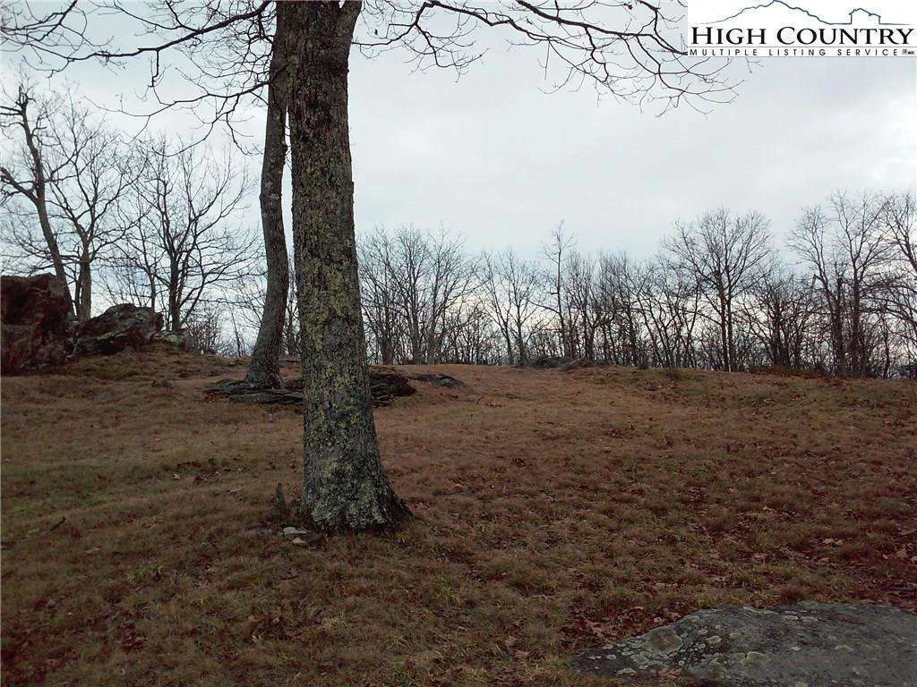 Image number 4 for the current listing