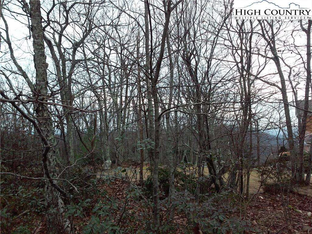 Image number 6 for the current listing