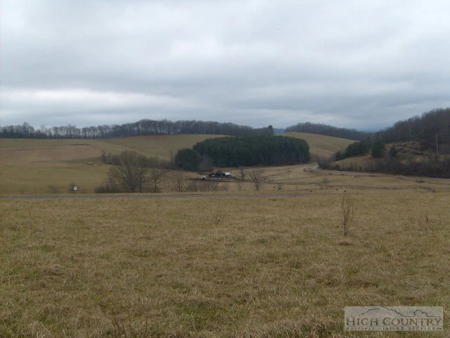 Image number 1 for the current listing
