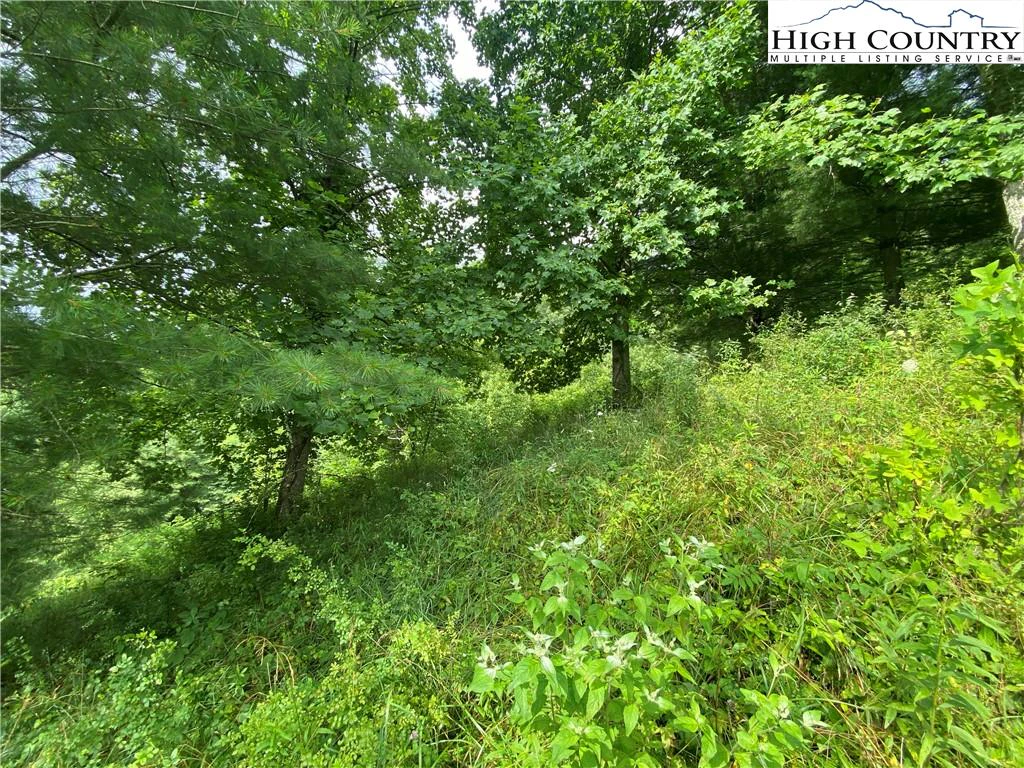 Image number 14 for the current listing