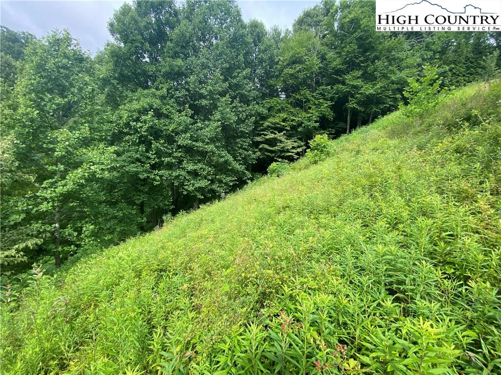 Image number 2 for the current listing