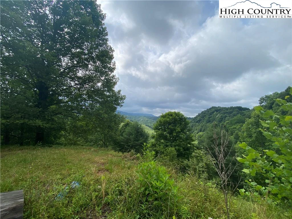Image number 13 for the current listing