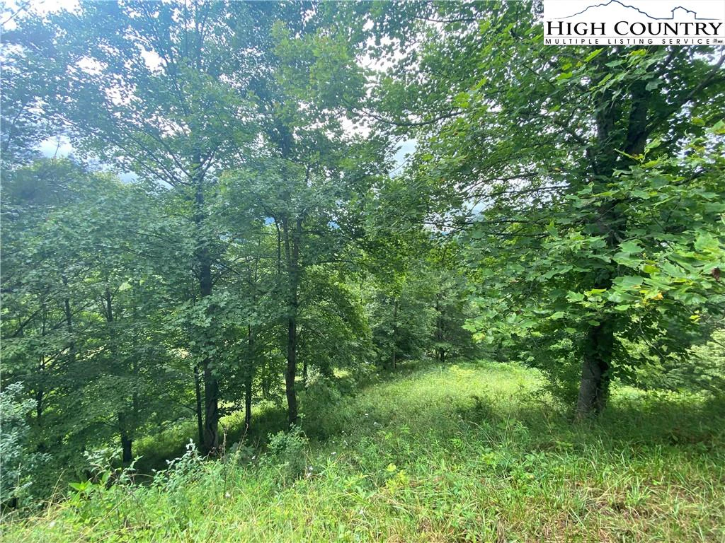 Image number 10 for the current listing
