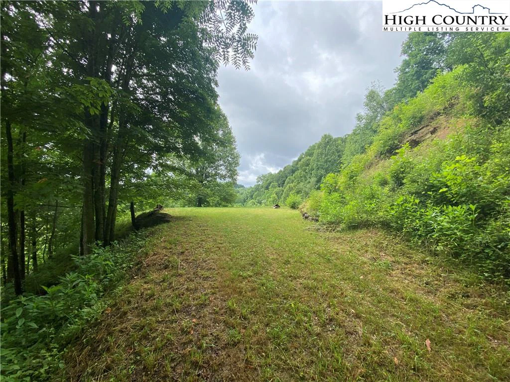 Image number 8 for the current listing