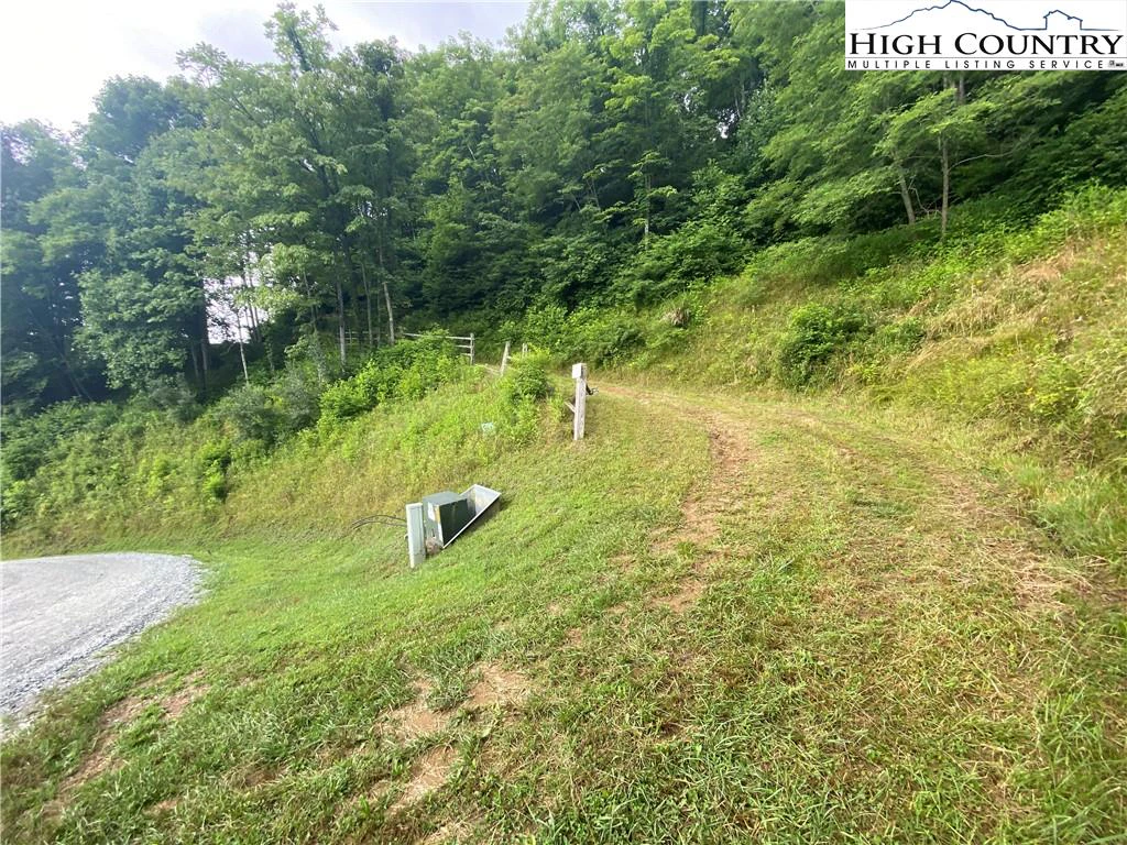 Image number 6 for the current listing