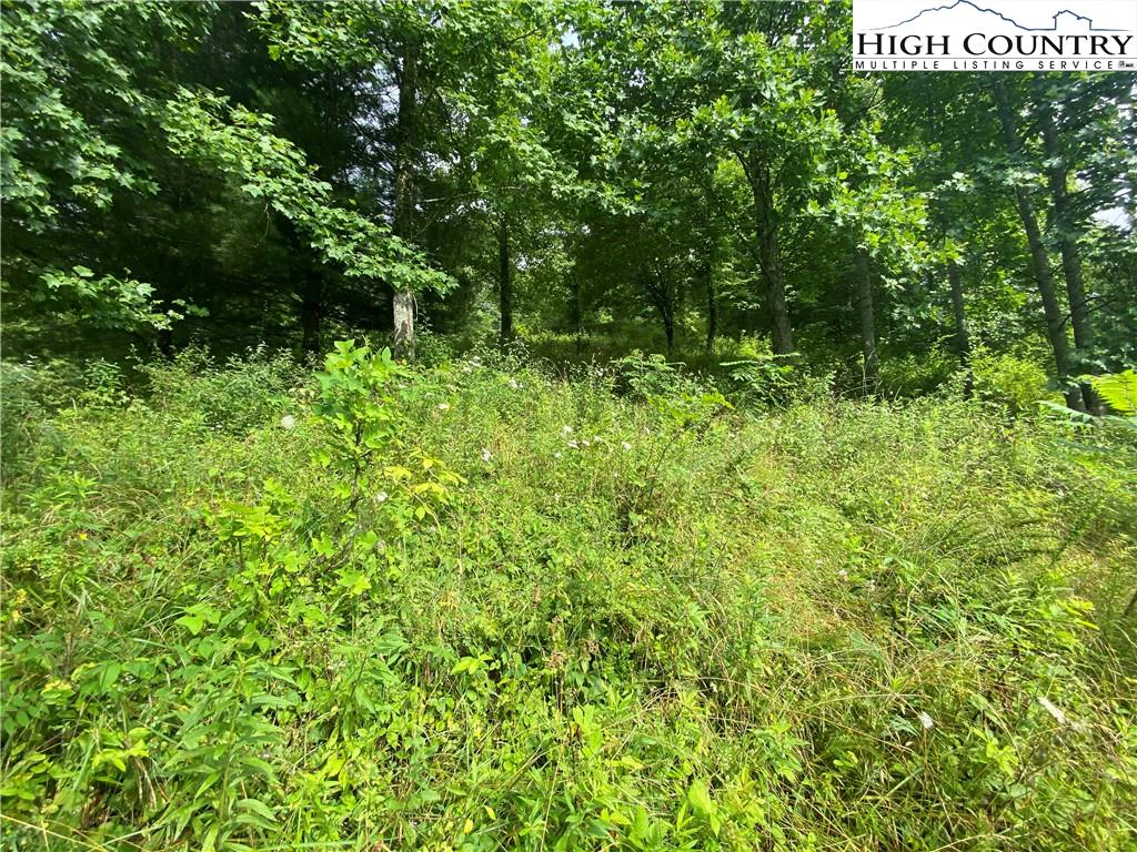 Image number 15 for the current listing