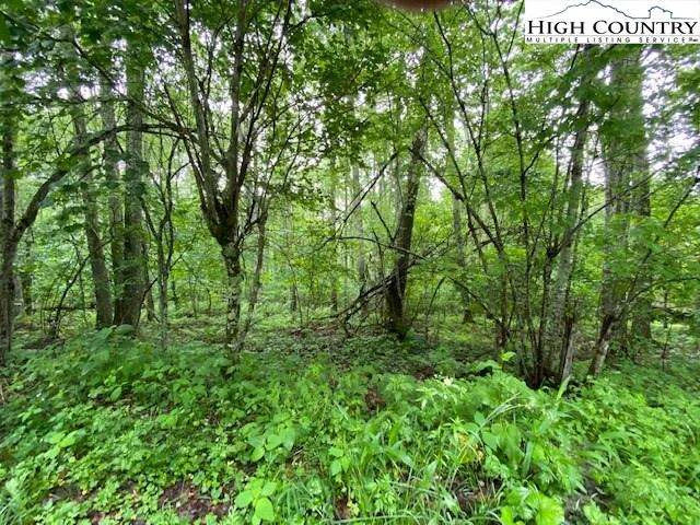 Image number 1 for the current listing