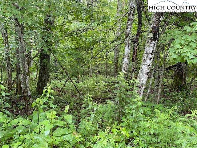 Image number 3 for the current listing