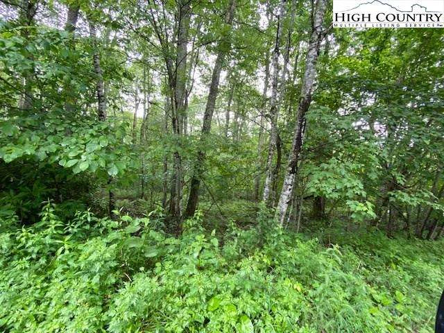 Image number 4 for the current listing