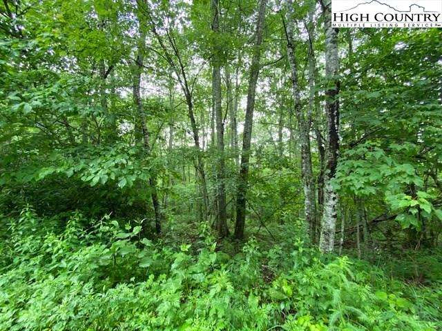 Image number 5 for the current listing