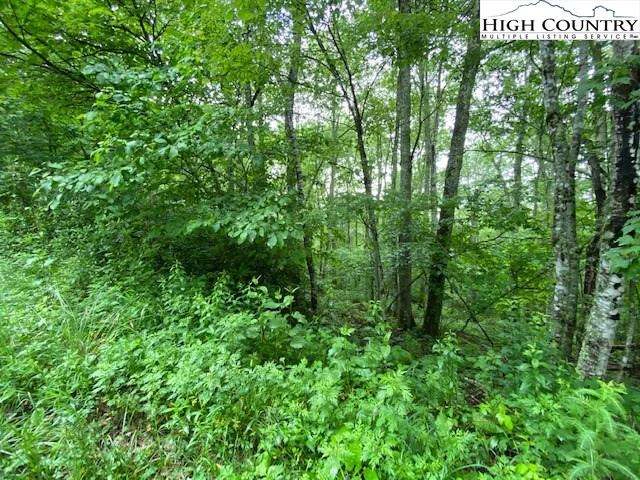 Image number 6 for the current listing