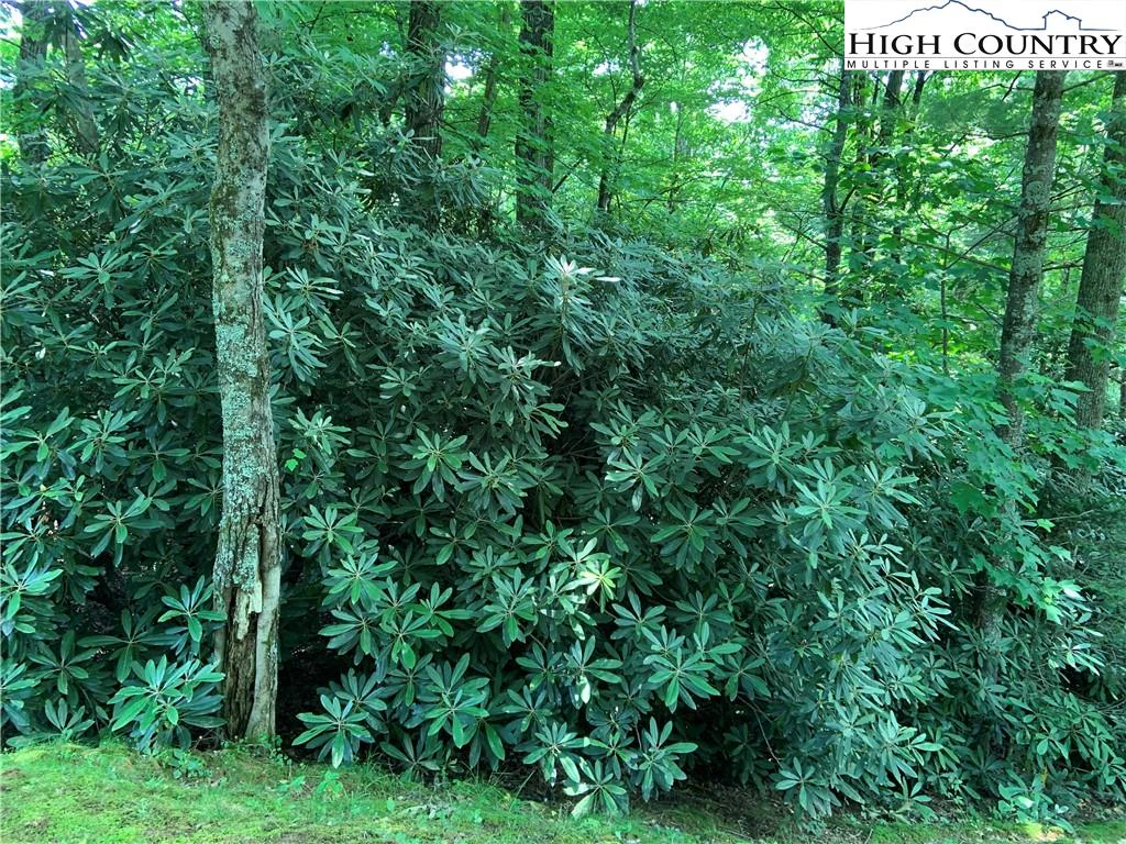 Image number 3 for the current listing