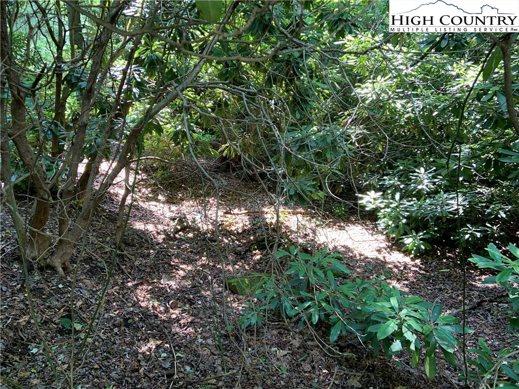 Image number 4 for the current listing