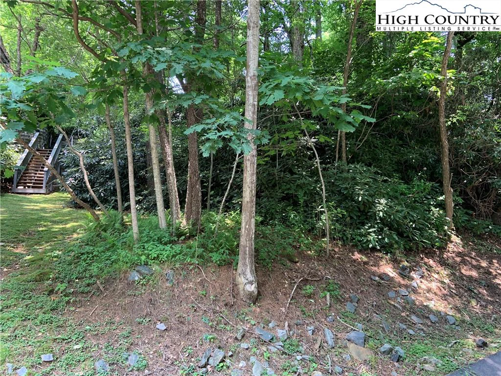 Image number 5 for the current listing