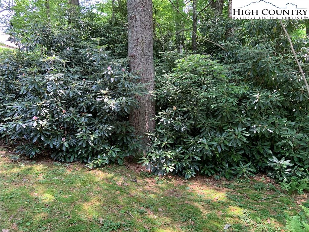 Image number 7 for the current listing
